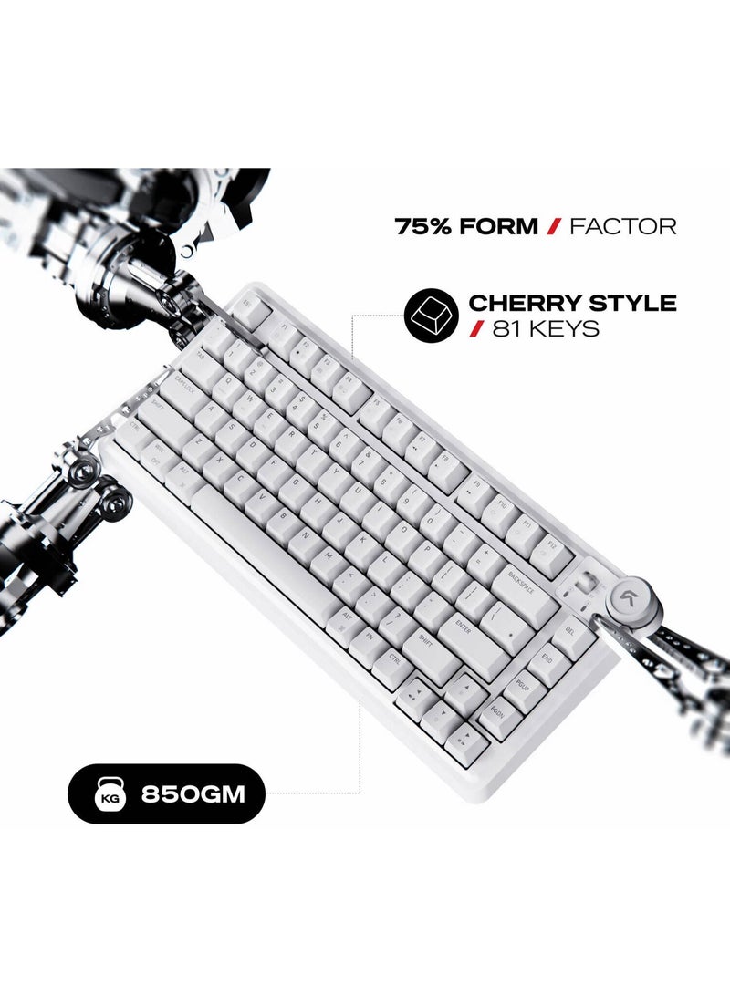 سايبيرت لوحة مفاتيح الألعاب اللاسلكية ثلاثية الأوضاع Cybeart Nighthawk 75 | TKL - أبيض - Image 5